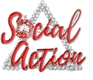 CENWA Sorority Jewelry Gift Social Action Brooch Pin Greek Sorority Gift Graduation Jewelry for Women