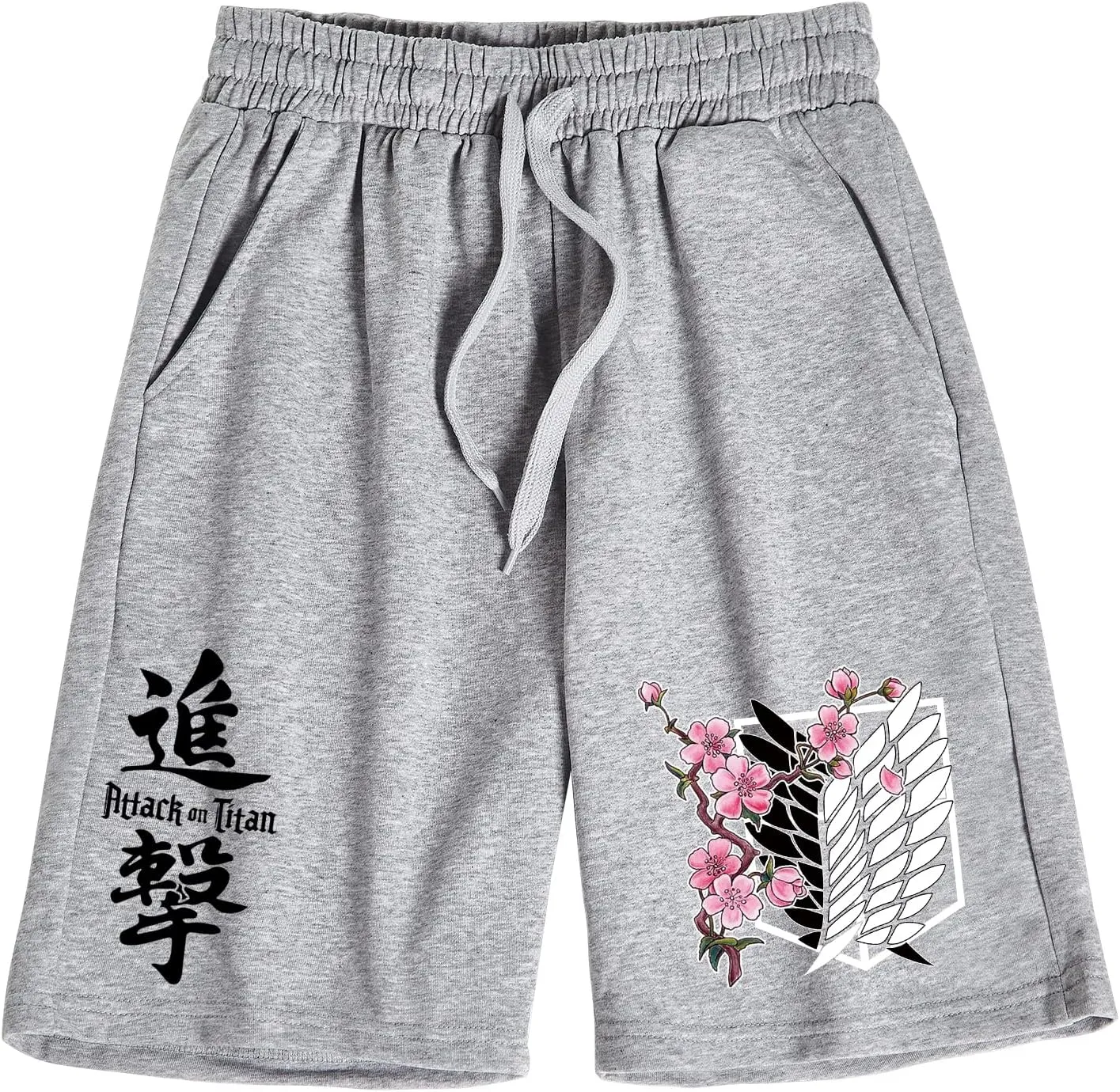 DIOMMELL AOT Shorts Anime Shorts with Drawstring Gift